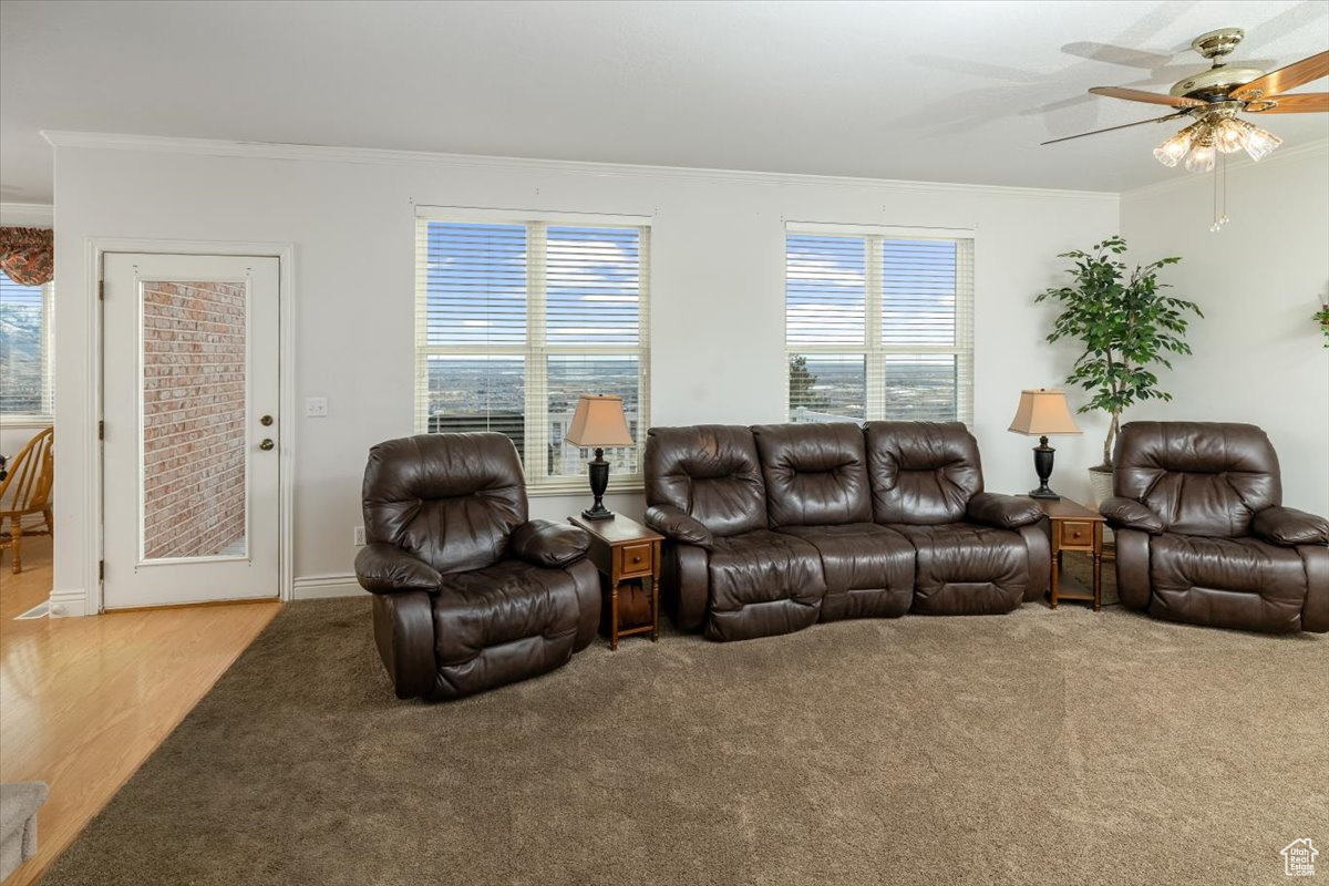 Living room featuring ceiling fan, light colored carpet, and crown molding