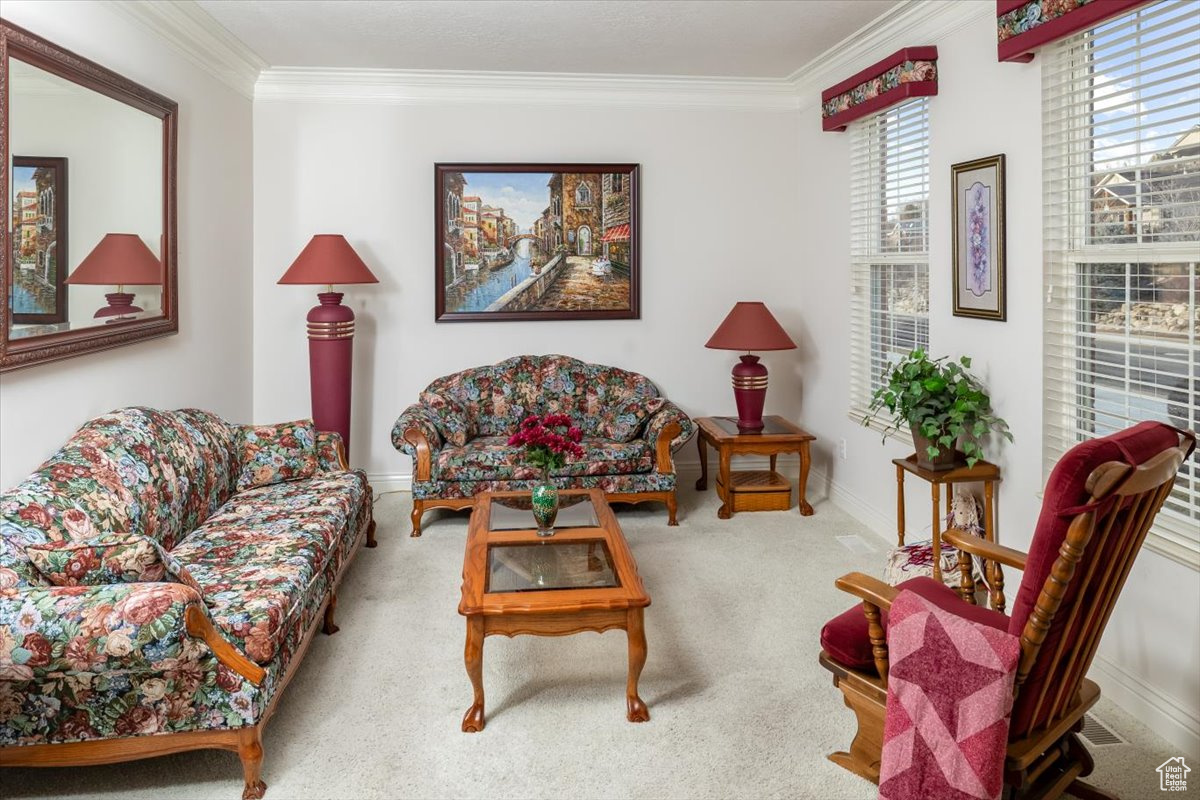 Carpeted living room featuring ornamental molding