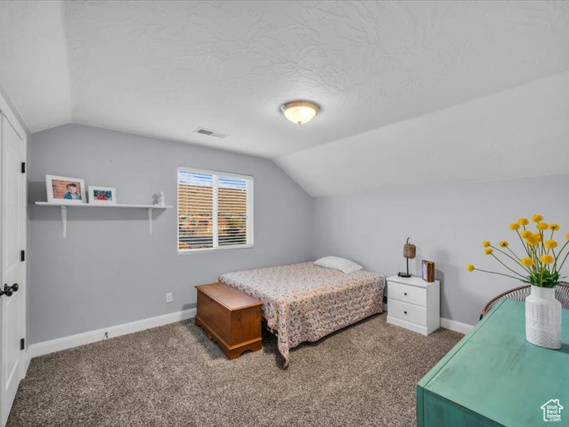 Carpeted bedroom with a textured ceiling and lofted ceiling