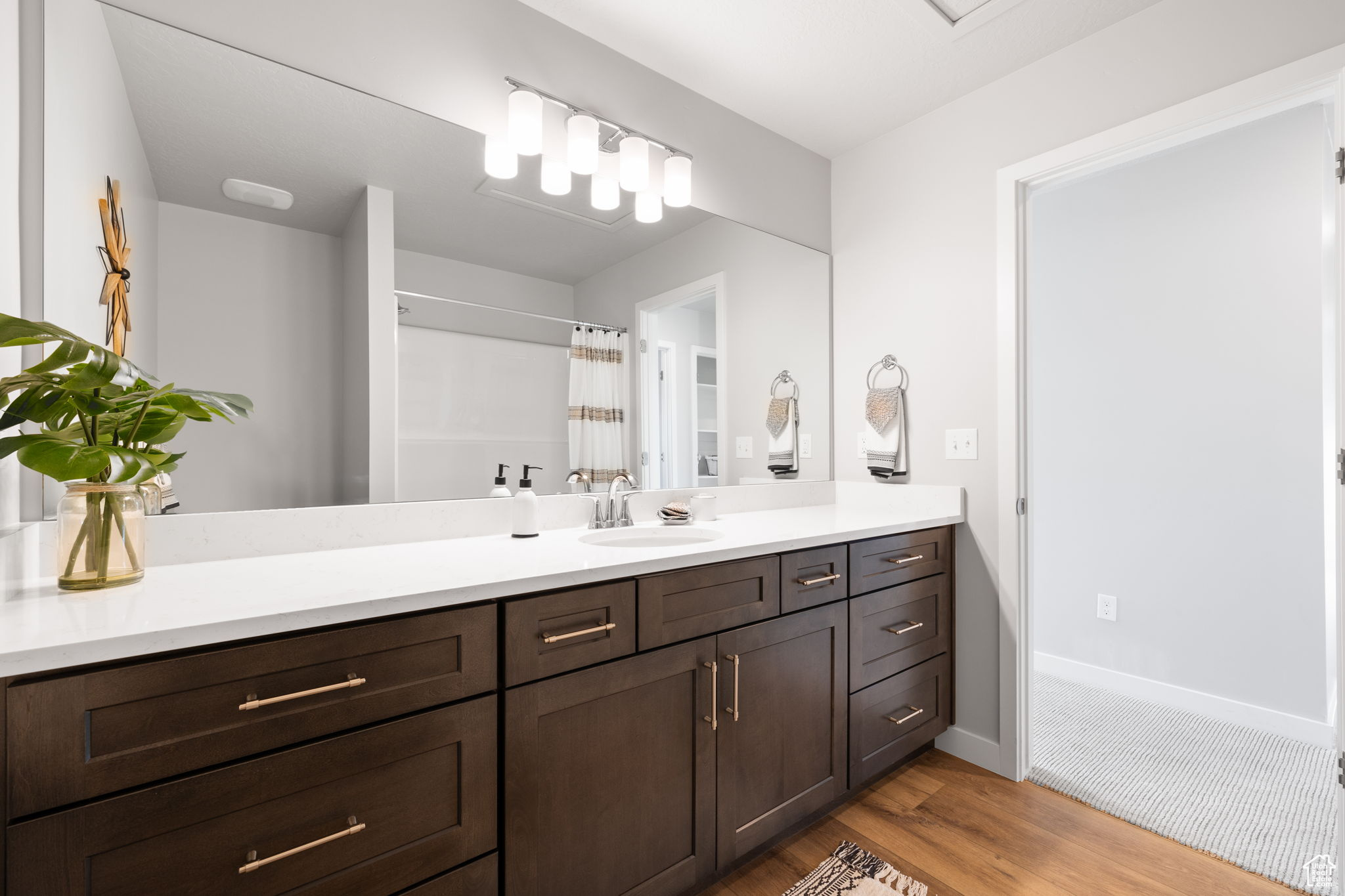 Bathroom featuring a shower with shower curtain, hardwood / wood-style floors, and vanity