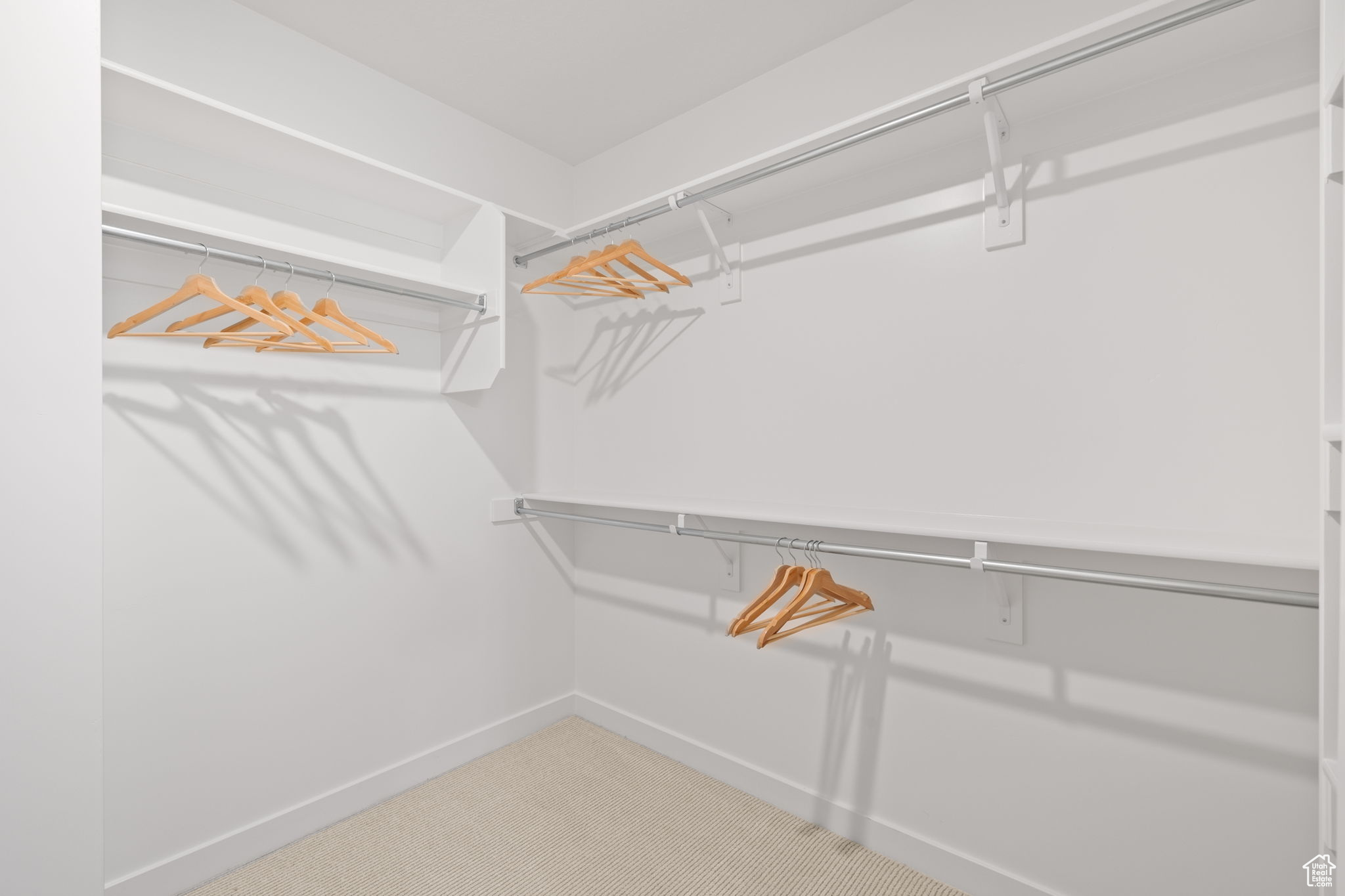 Spacious closet featuring carpet floors