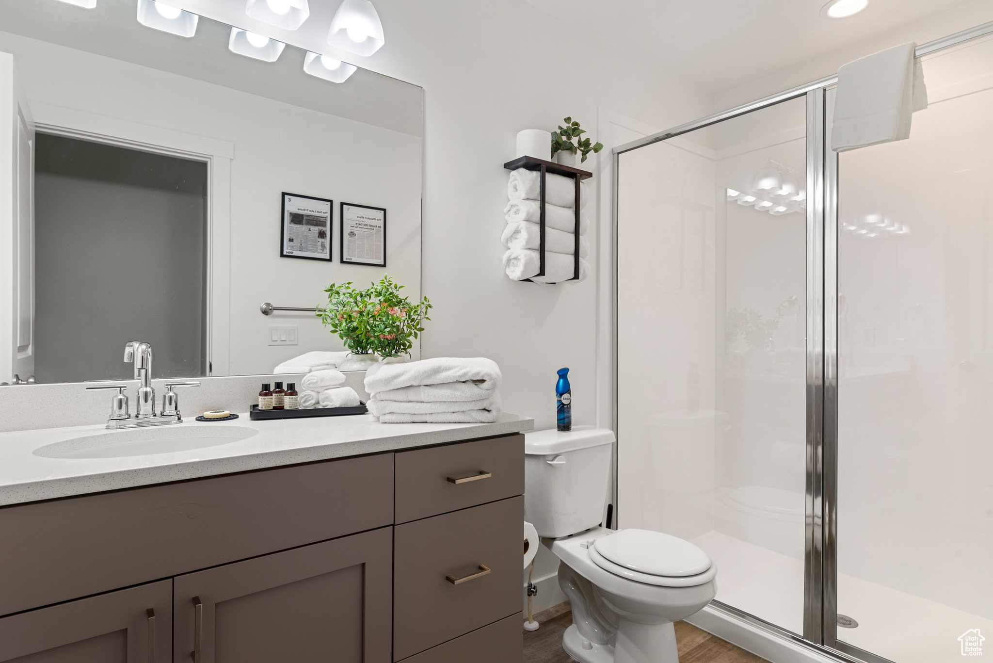 Bathroom with a shower with door, vanity, wood-type flooring, and toilet