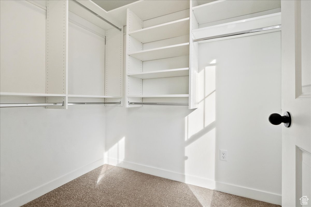 Walk in closet with carpet