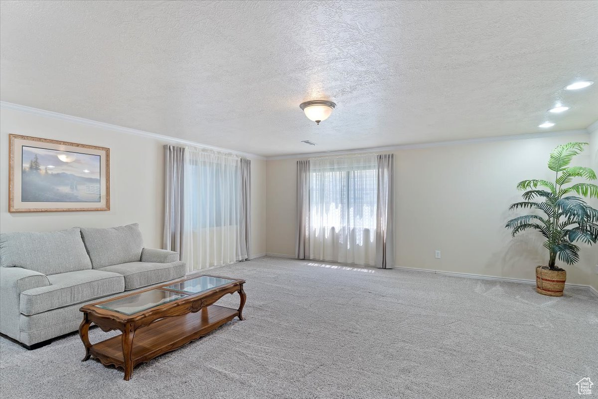 Large basement family room.