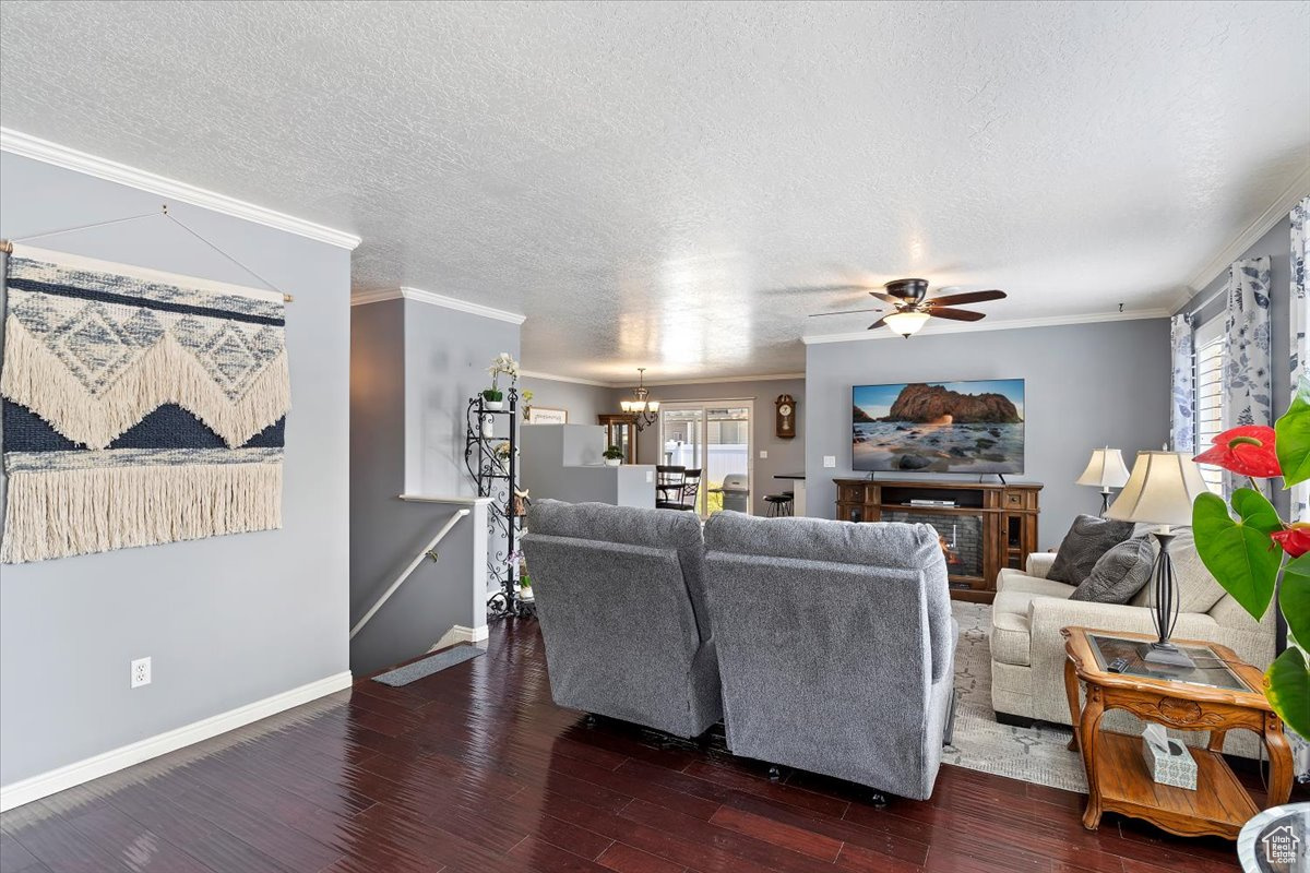 Main floor living/family room with large entry area.