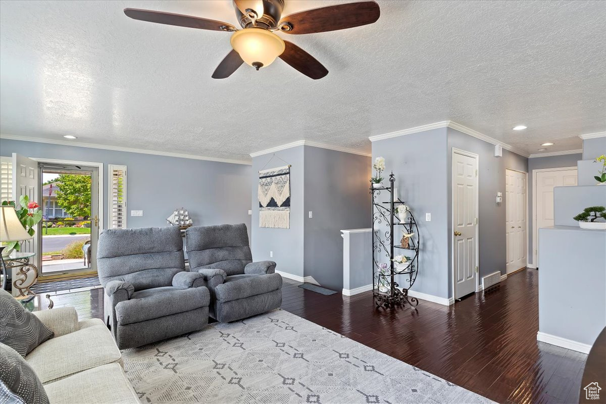 Main floor living/family room with large entry area.