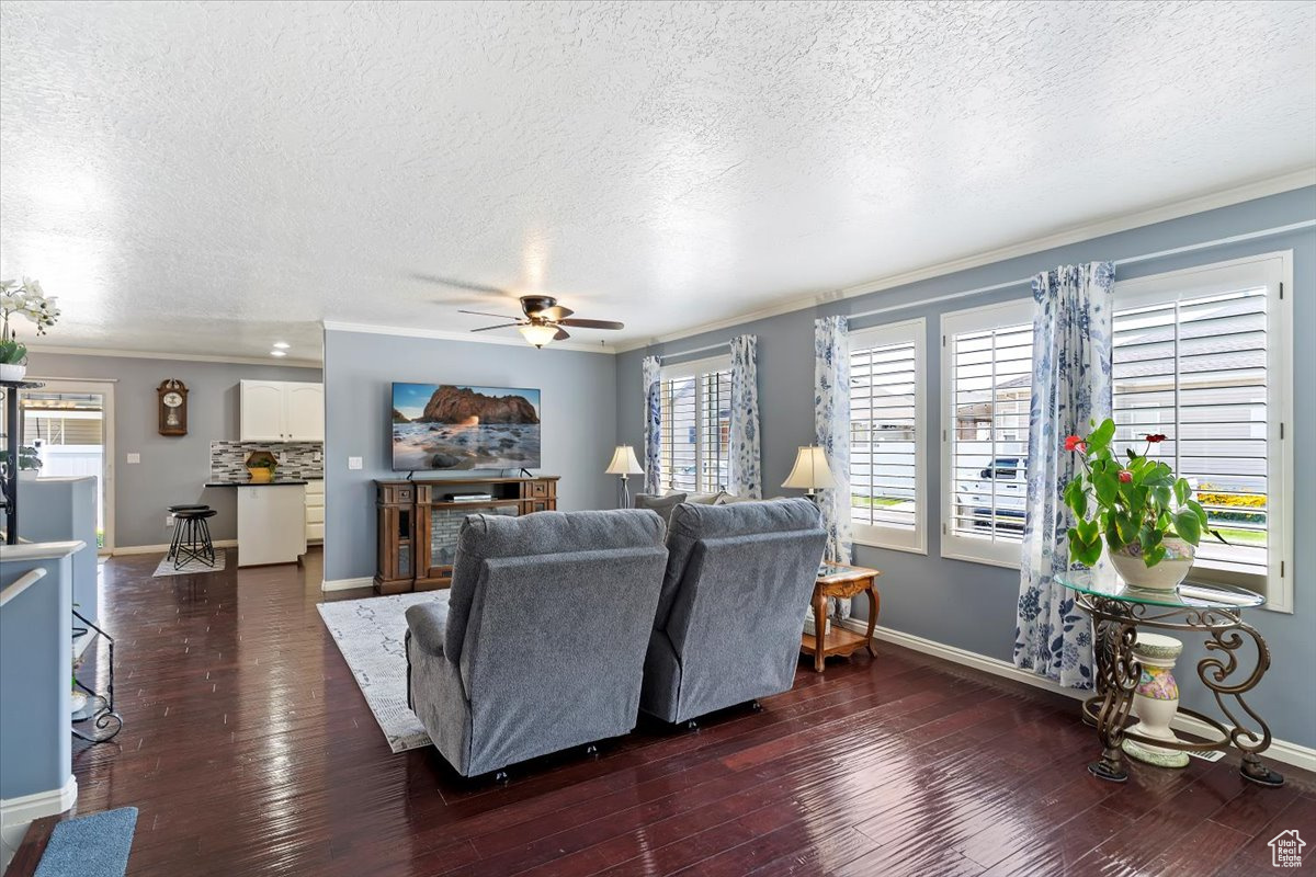 Main floor living/family room with large entry area.