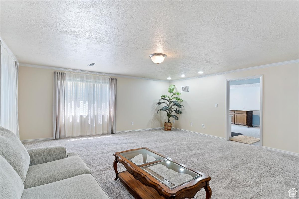 Large basement family room.