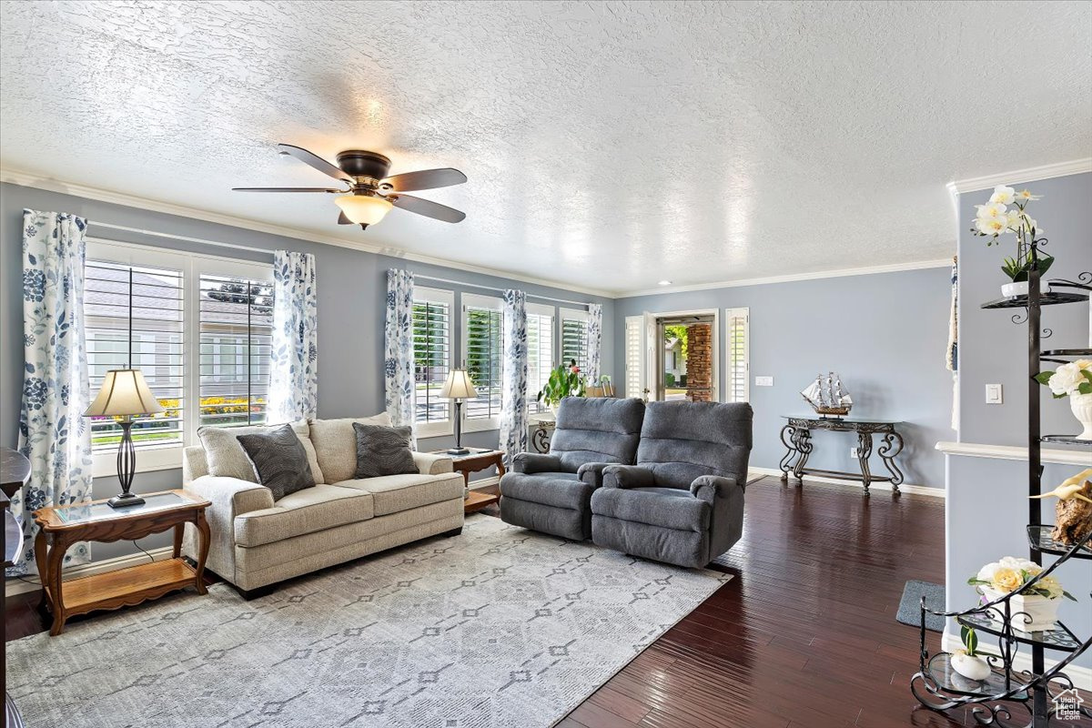 Main floor living/family room with large entry area.