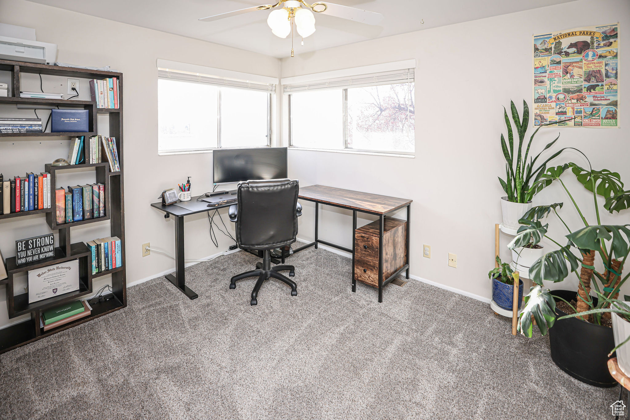 Carpeted home office featuring a wealth of natural light and ceiling fan