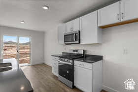 Kitchen with white cabinetry, dark wood-type flooring, and appliances with stainless steel finishes