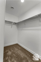 Spacious closet with dark carpet