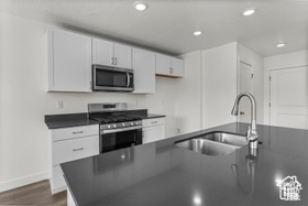 Kitchen featuring sink, white cabinets, dark hardwood / wood-style floors, and appliances with stainless steel finishes