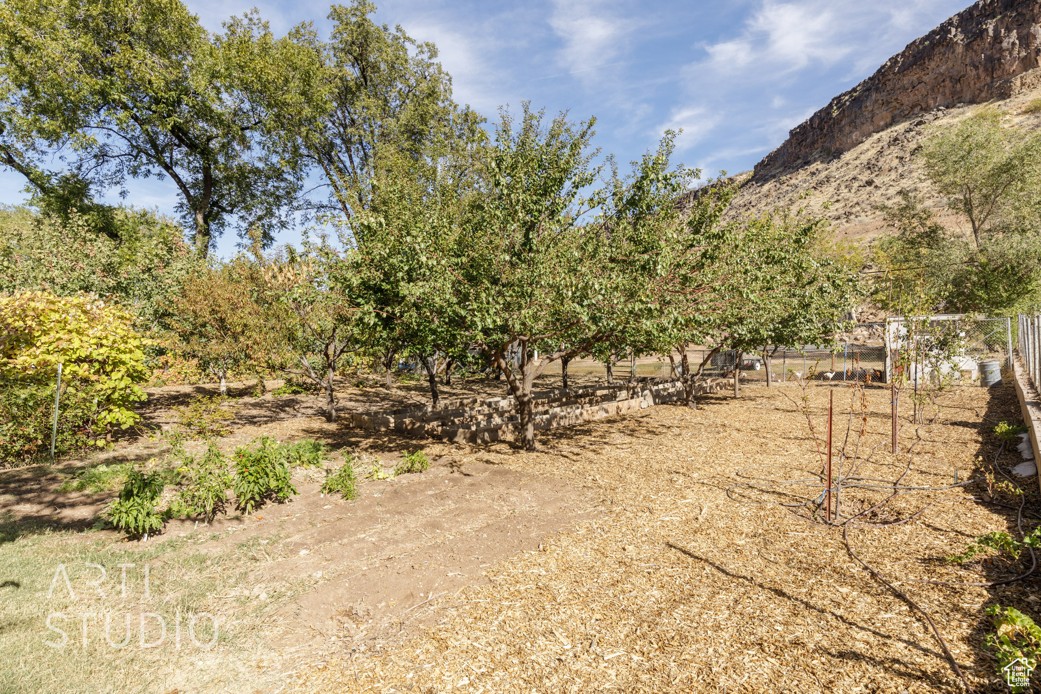 View of yard with a mountain view and a rural view