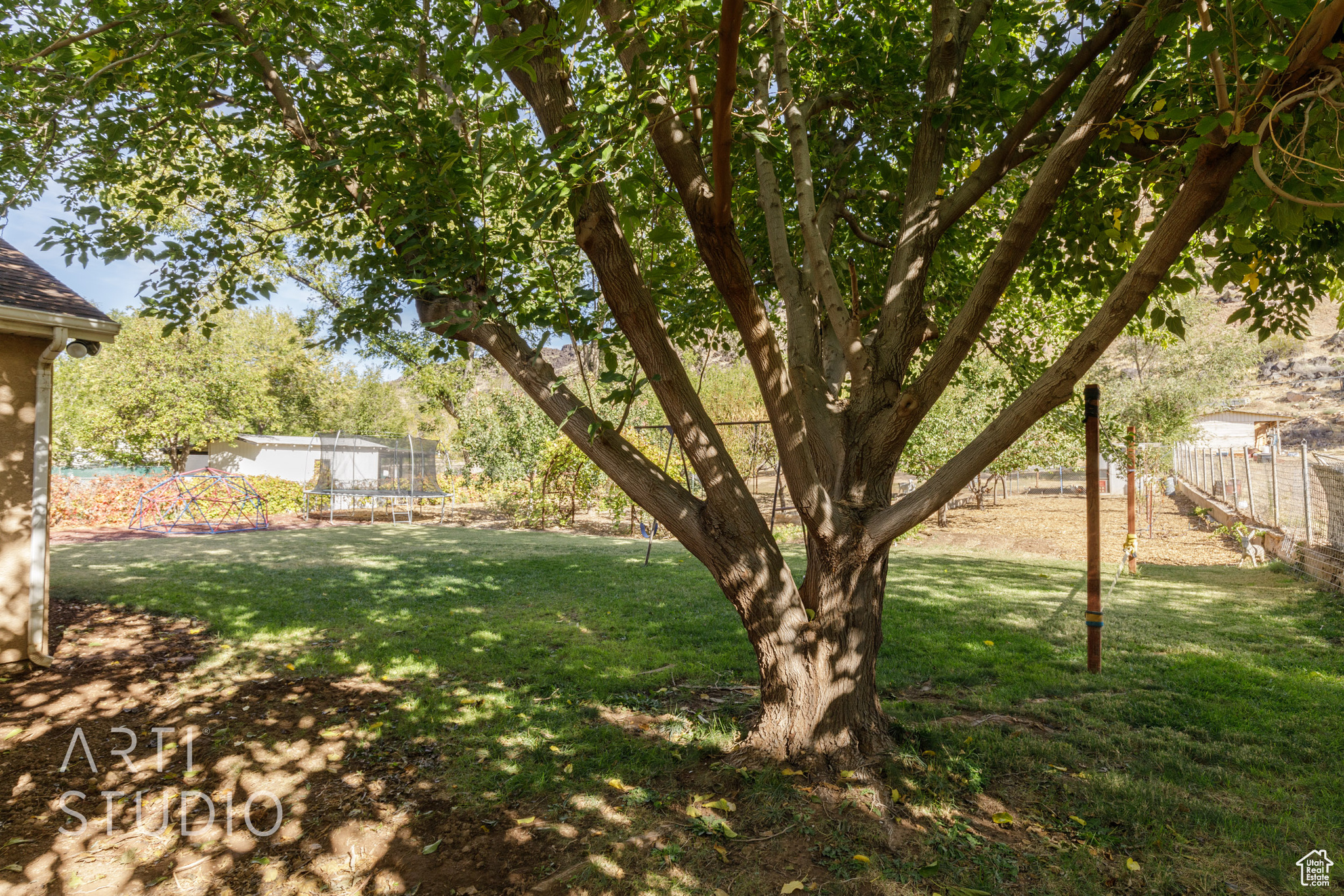 View of yard featuring a trampoline