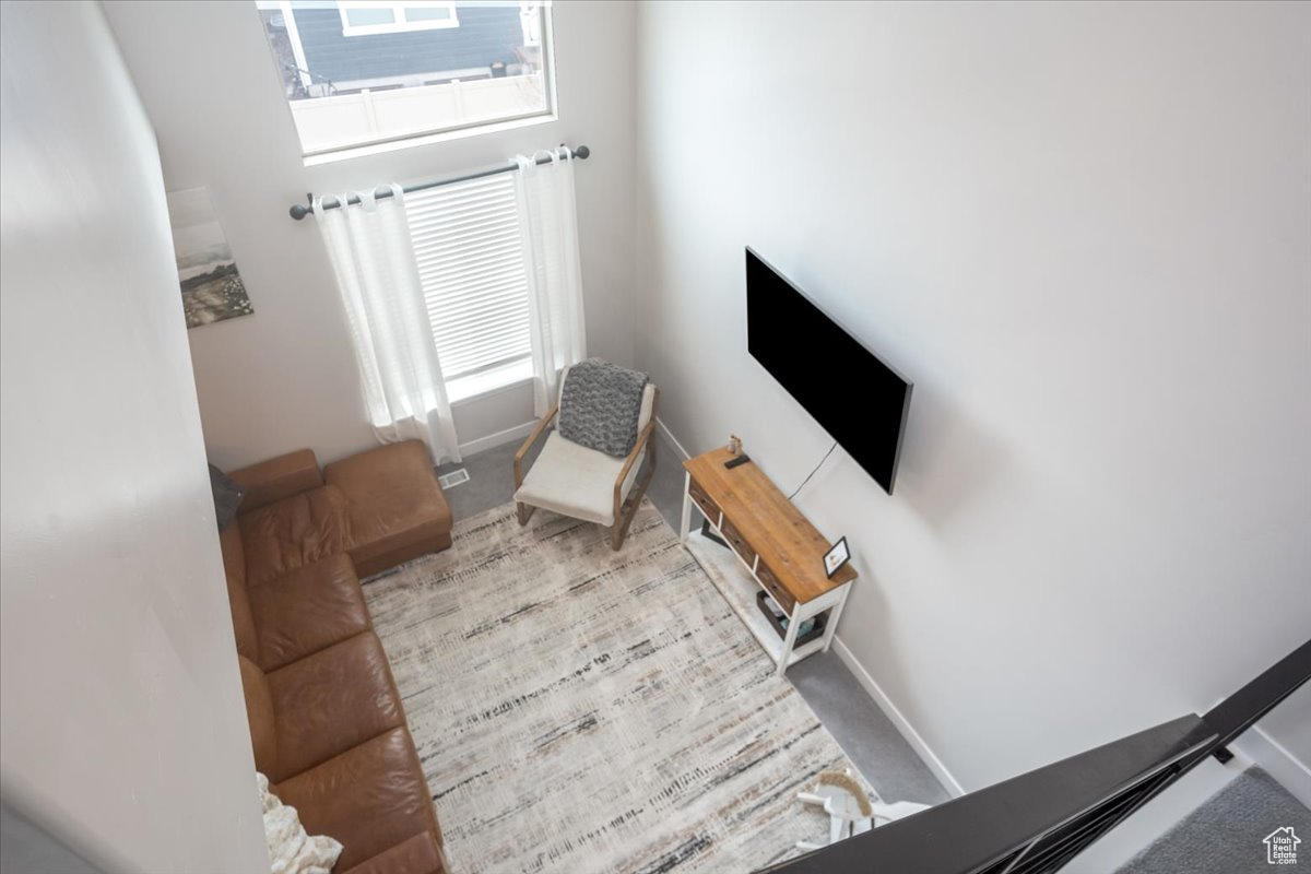 Carpeted living room featuring plenty of natural light