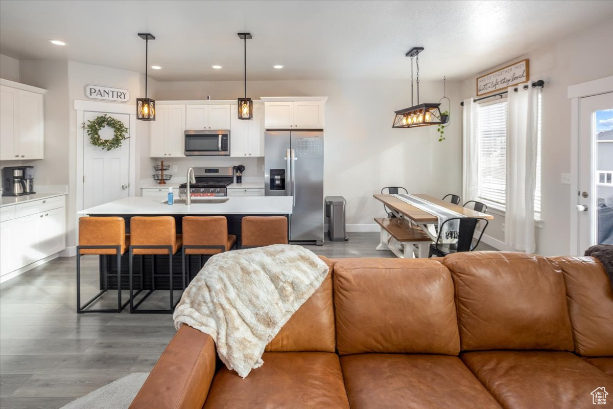 Living room featuring hardwood / wood-style flooring and sink