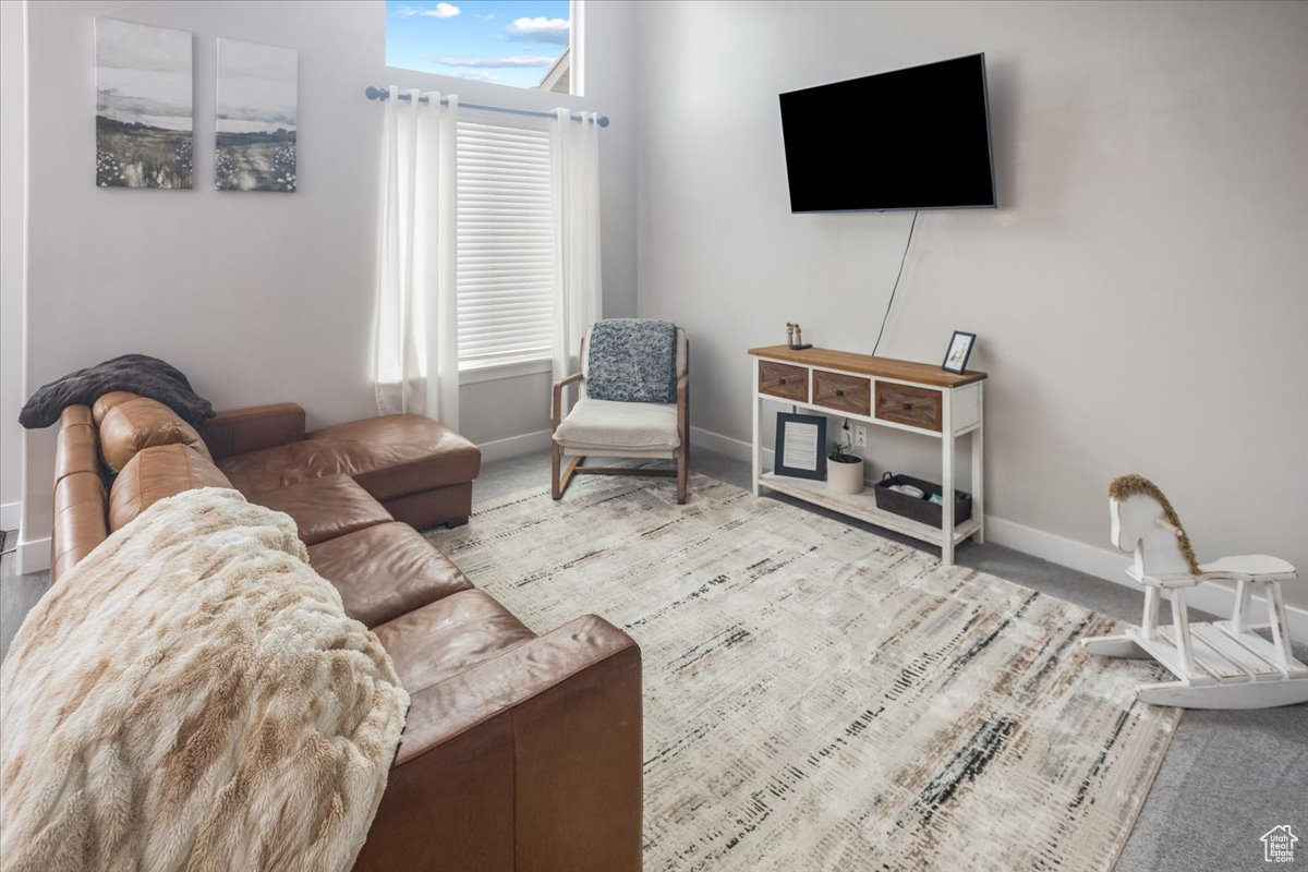 Living room with light carpet