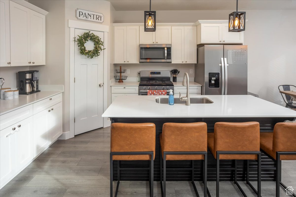 Kitchen featuring white cabinets, sink, stainless steel appliances, and an island with sink