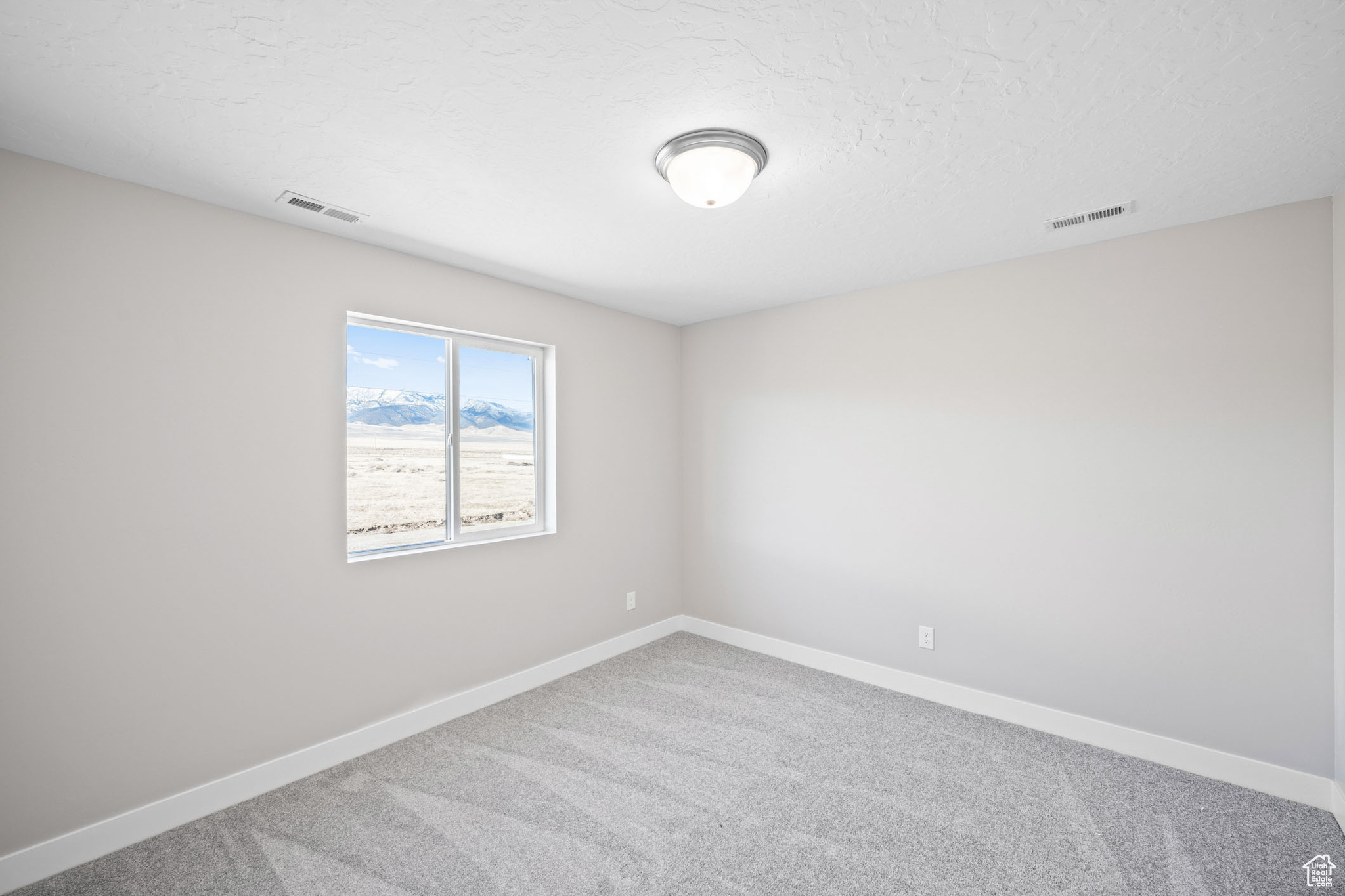 Carpeted spare room with a textured ceiling