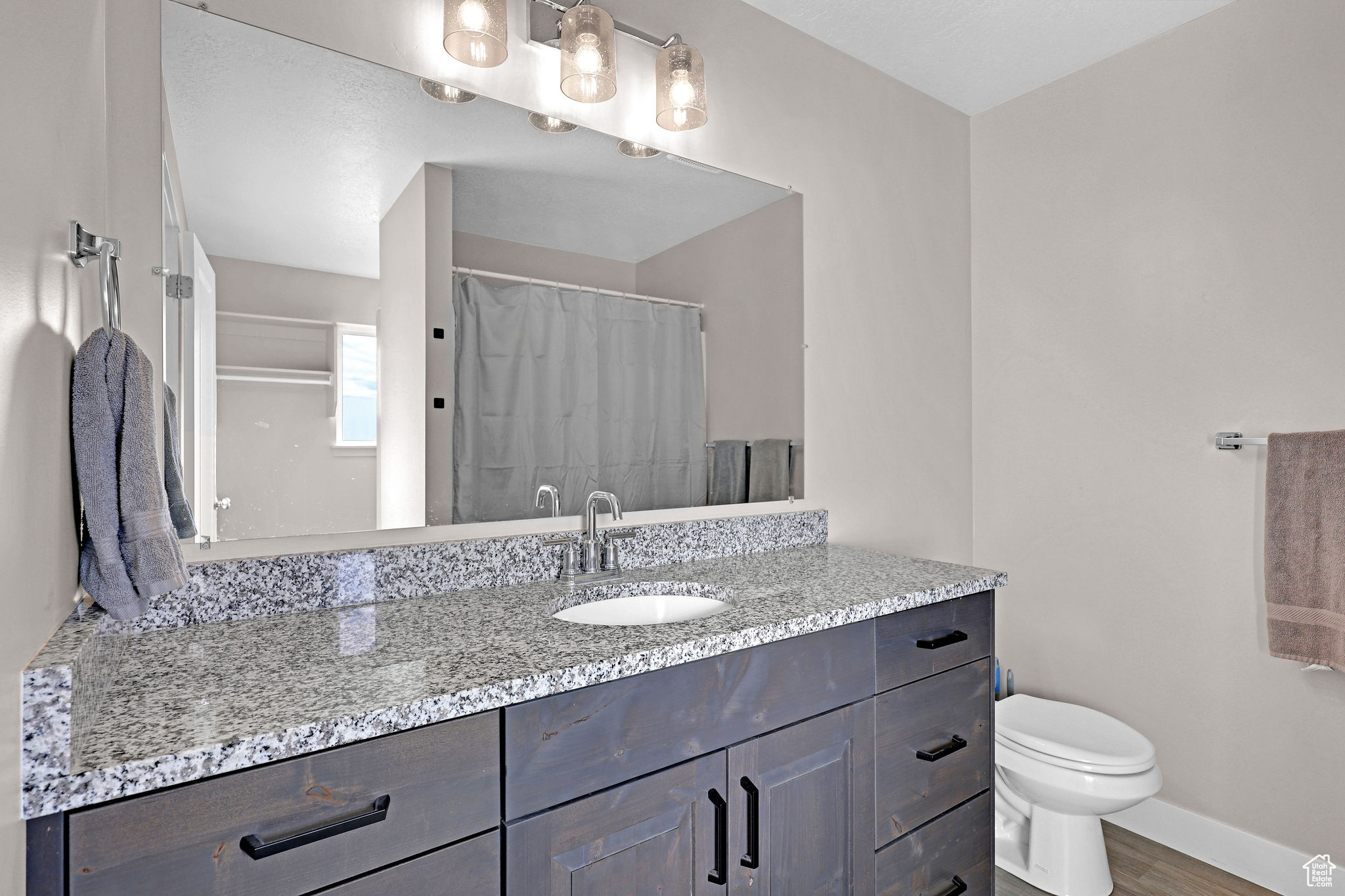 Bathroom featuring vanity, hardwood / wood-style flooring, and toilet