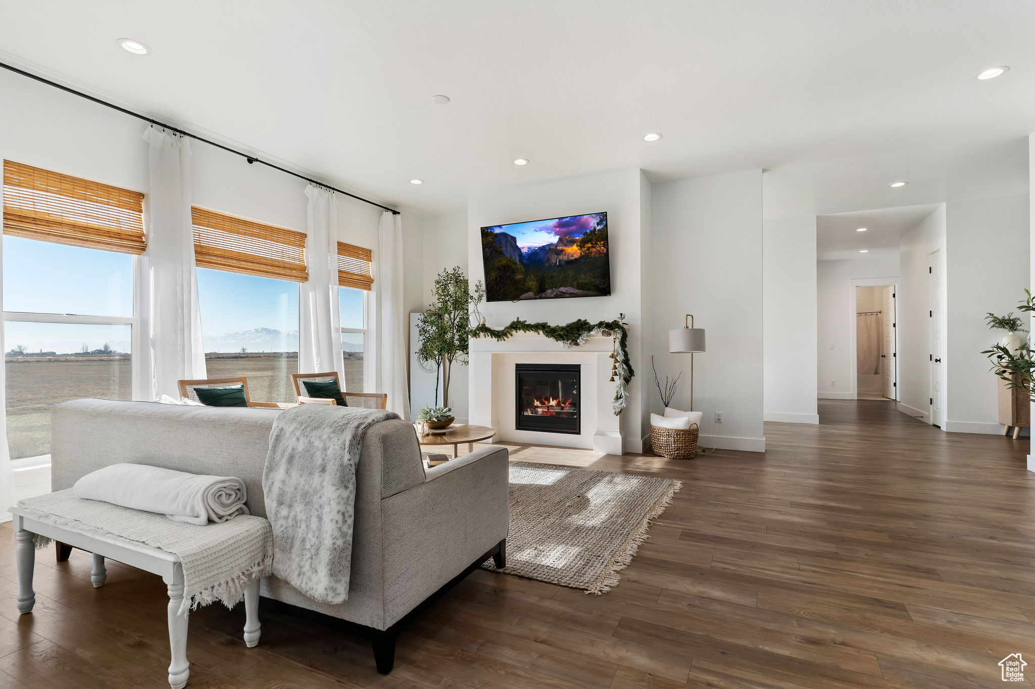 Living room featuring dark wood-type flooring