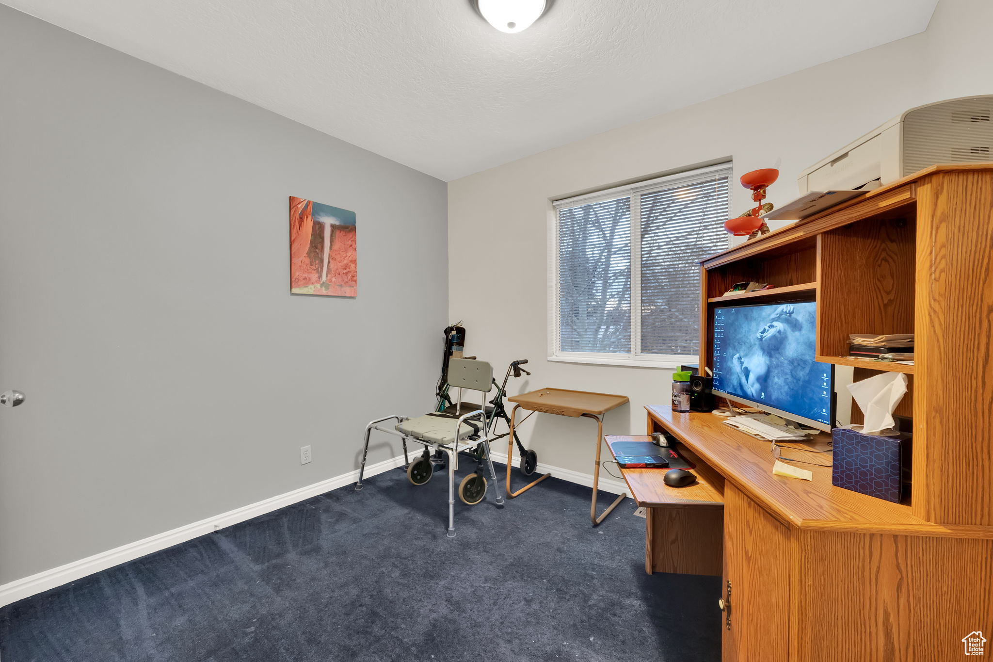 View of carpeted office