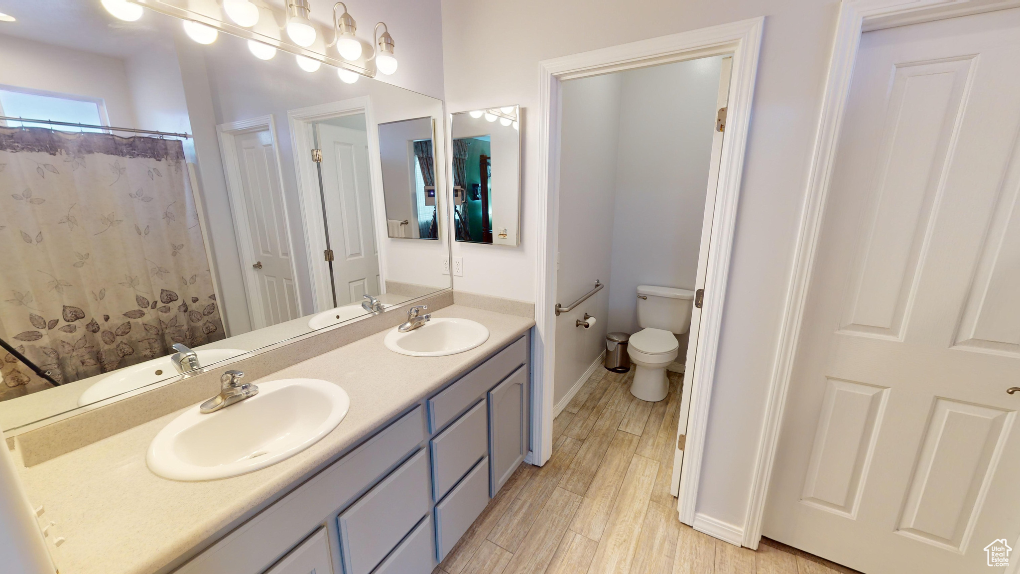 Bathroom with vanity, hardwood / wood-style flooring, and toilet