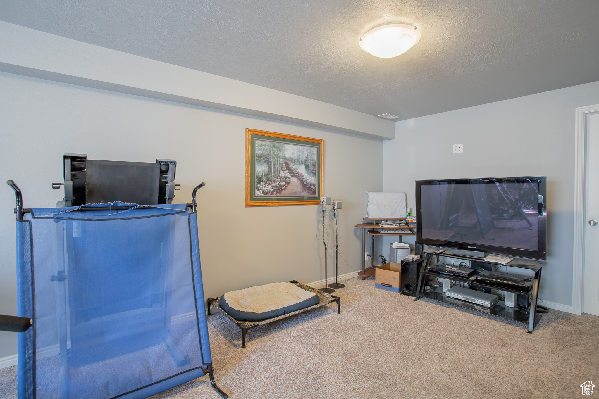 Miscellaneous room featuring carpet and a textured ceiling