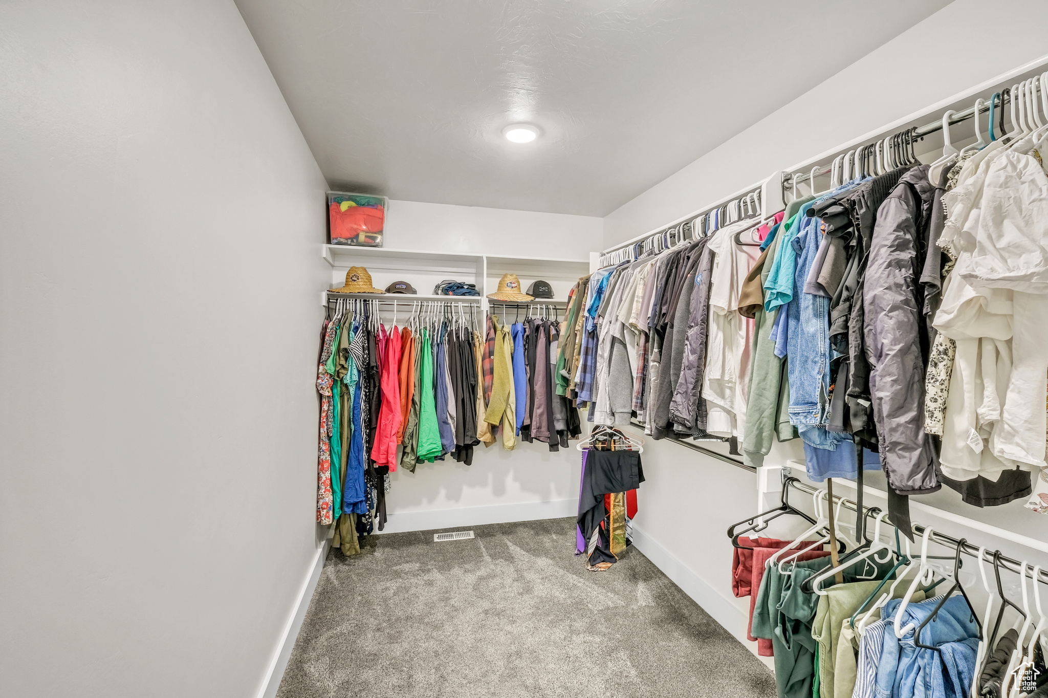 Spacious closet featuring carpet floors