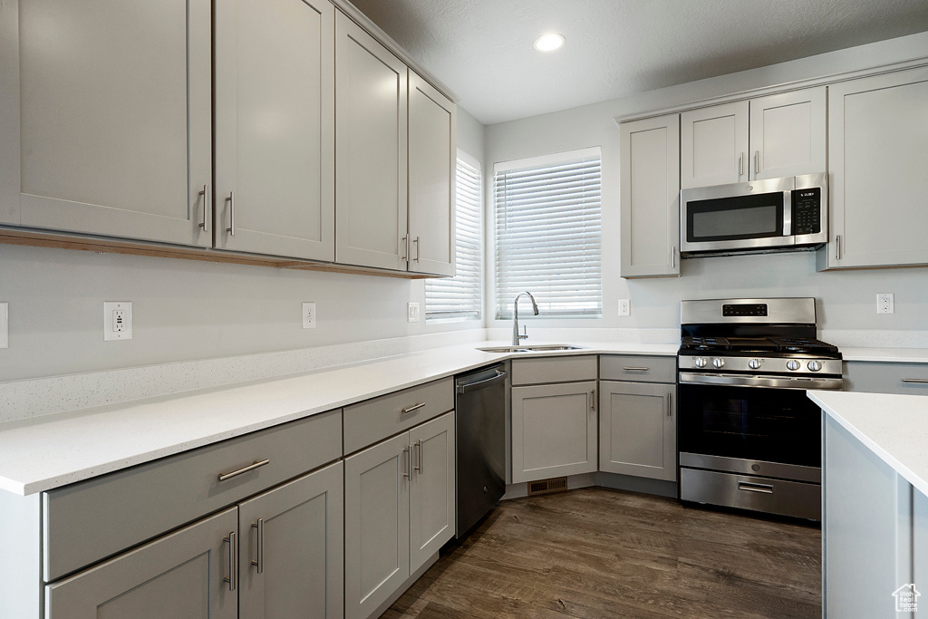 Kitchen with dark hardwood / wood-style flooring, stainless steel appliances, gray cabinetry, and sink