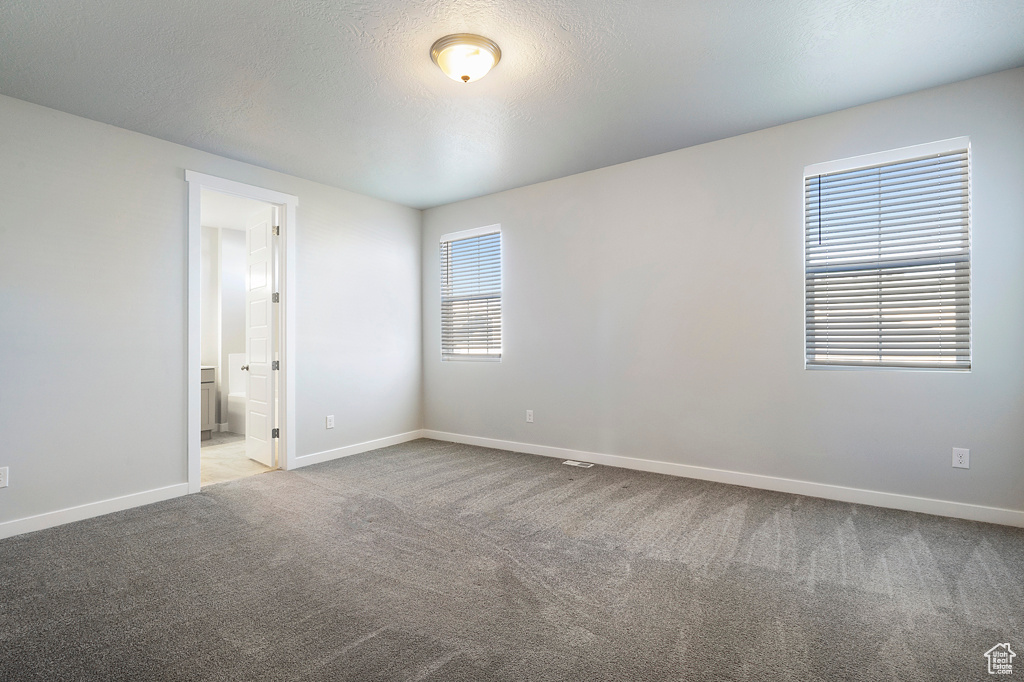 Unfurnished room with carpet and a textured ceiling