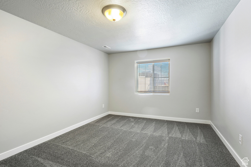 Unfurnished room with carpet and a textured ceiling