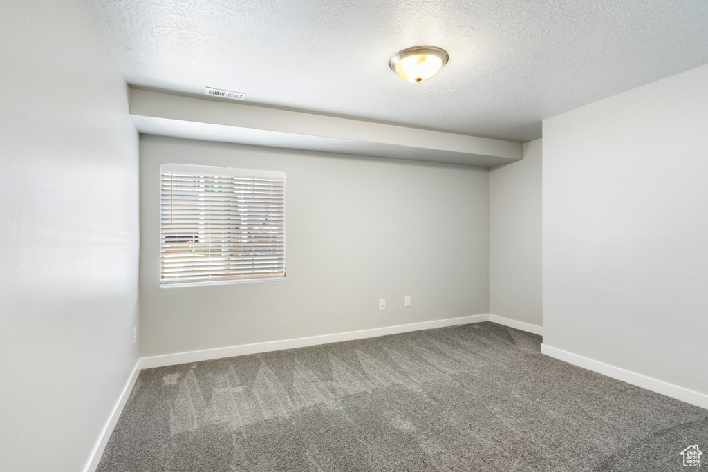 Carpeted spare room with a textured ceiling