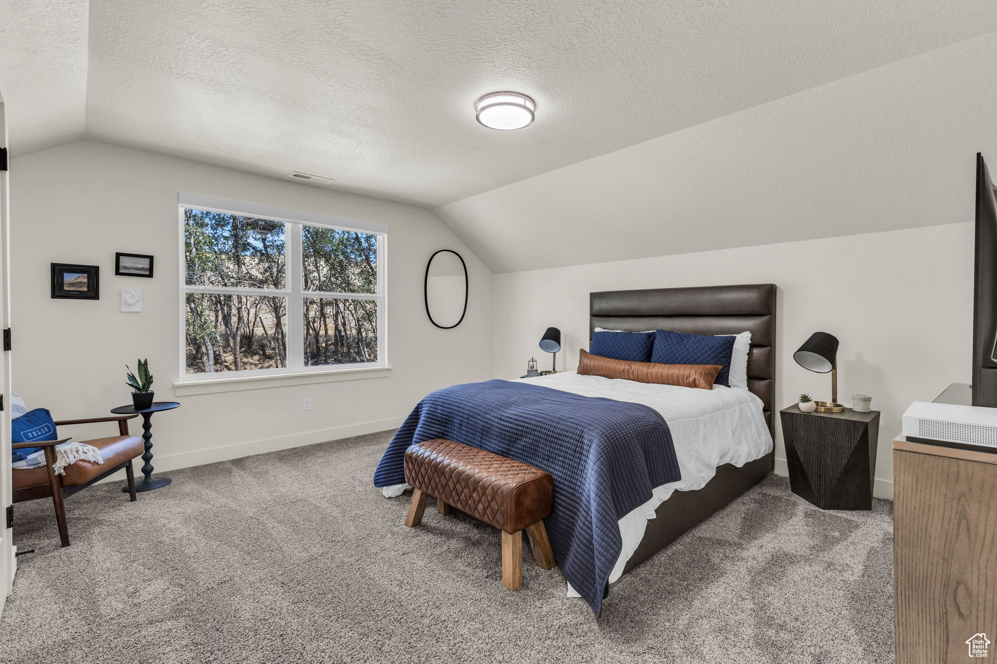 Carpeted bedroom with vaulted ceiling and a textured ceiling