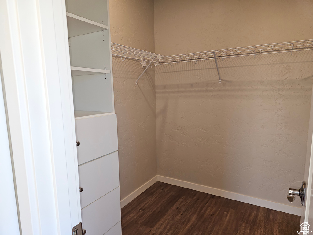 Walk in closet featuring dark hardwood / wood-style floors