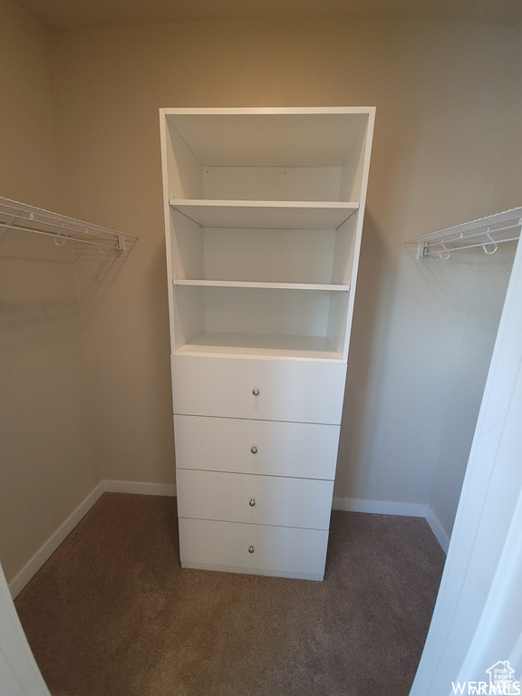 Walk in closet featuring dark carpet