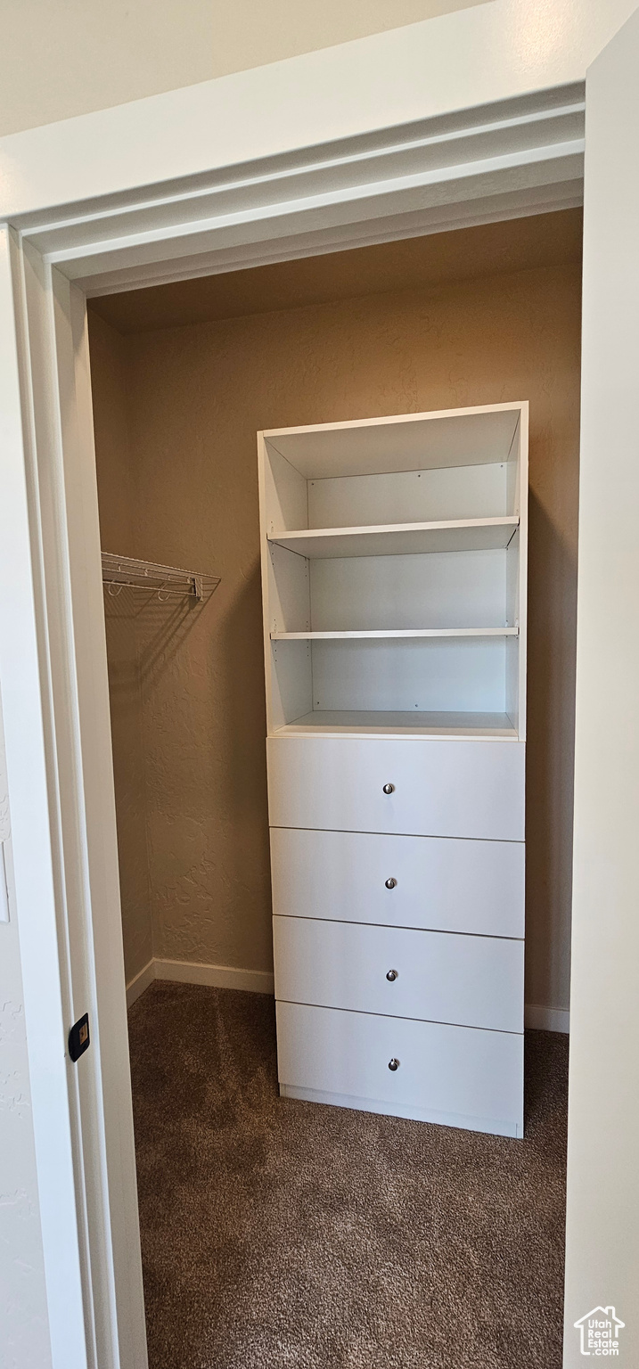 Walk in closet with dark colored carpet