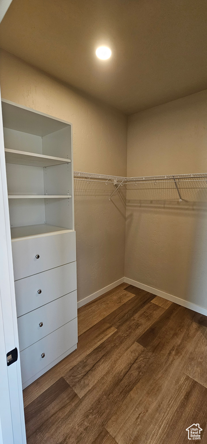 Walk in closet featuring dark wood-type flooring