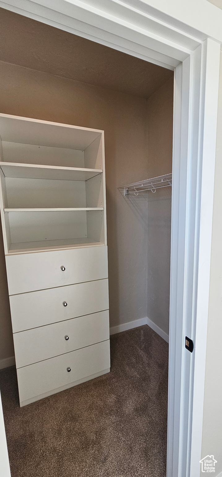 Spacious closet featuring dark carpet