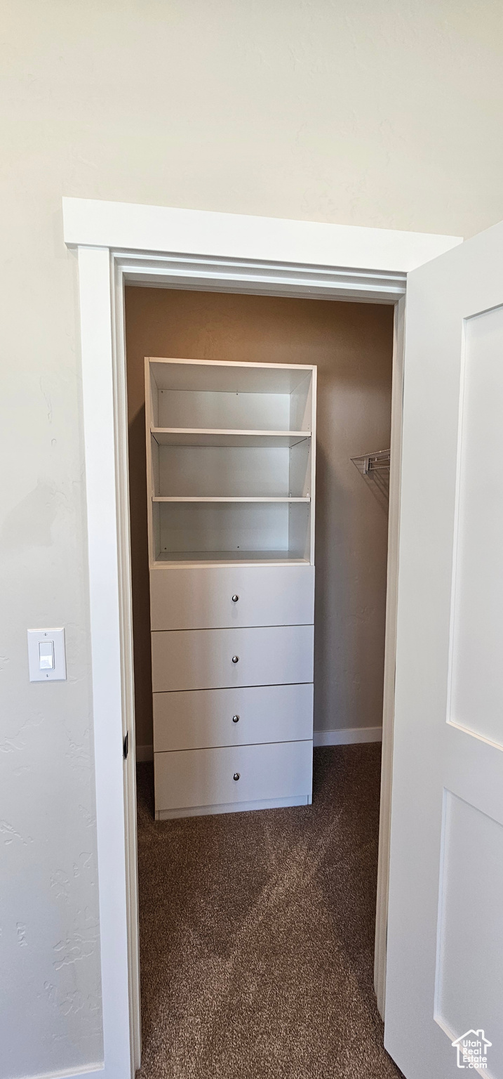 Spacious closet featuring dark carpet