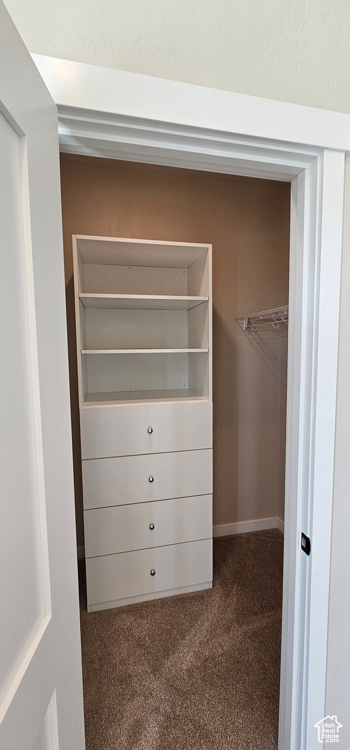 Walk in closet featuring dark colored carpet