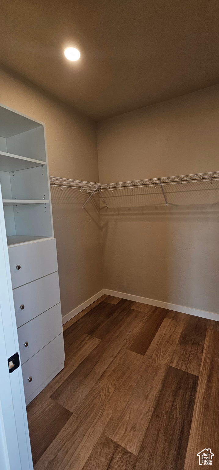 Walk in closet featuring wood-type flooring