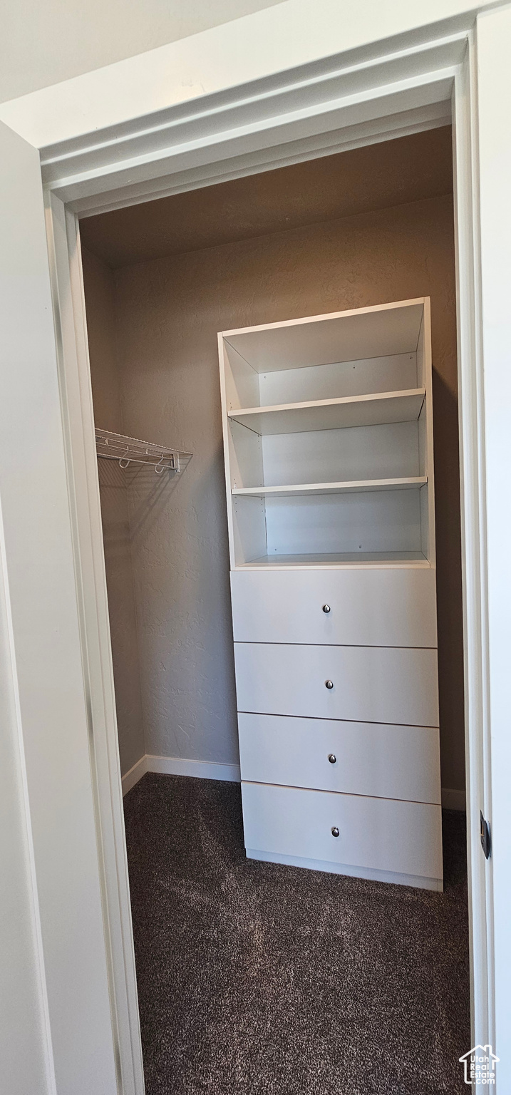 Spacious closet featuring dark colored carpet