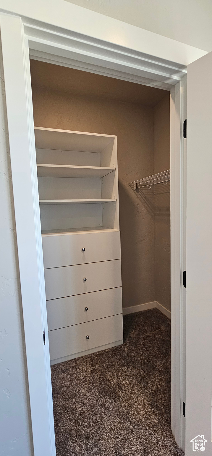 Spacious closet with dark colored carpet