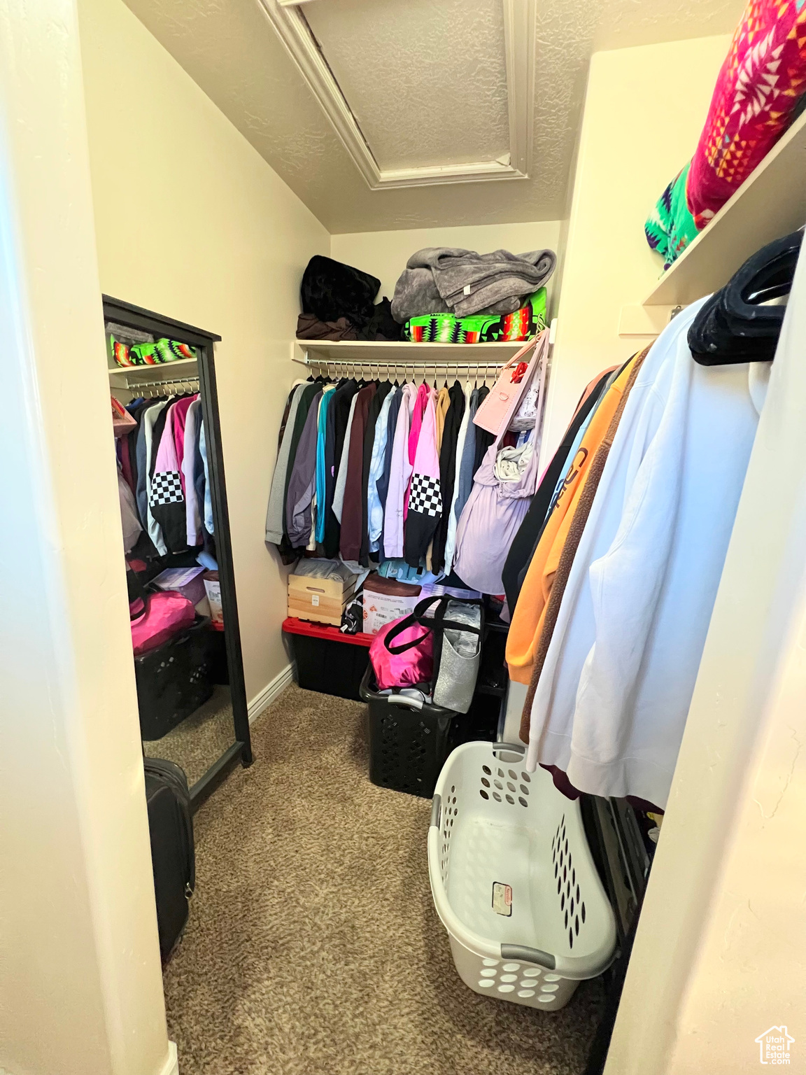 Walk in closet featuring carpet floors