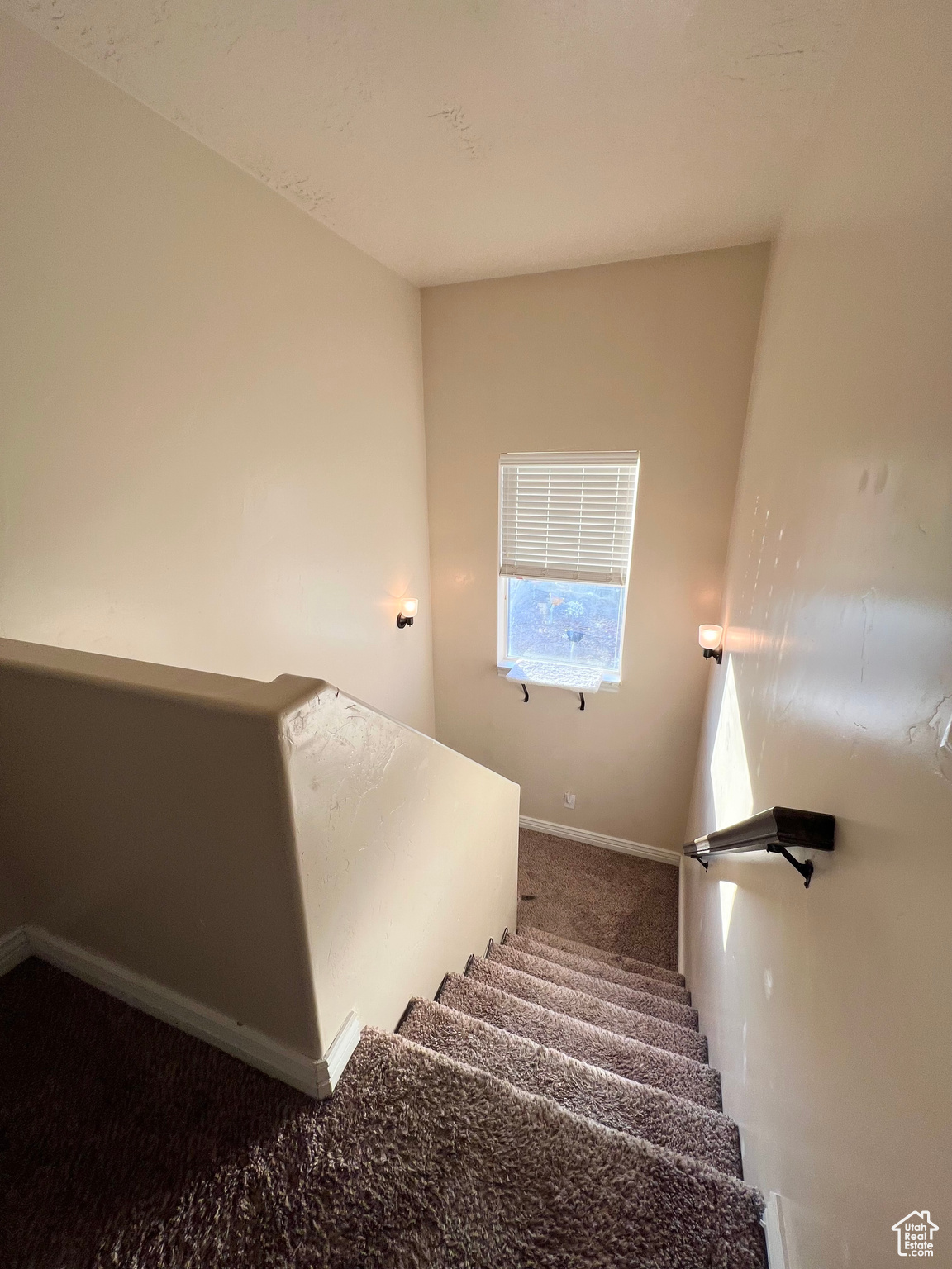 Staircase featuring carpet flooring