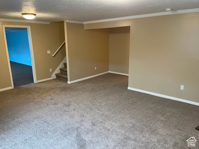 Basement featuring a textured ceiling, carpet floors, and crown molding