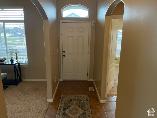 Foyer entrance with a wealth of natural light and dark carpet