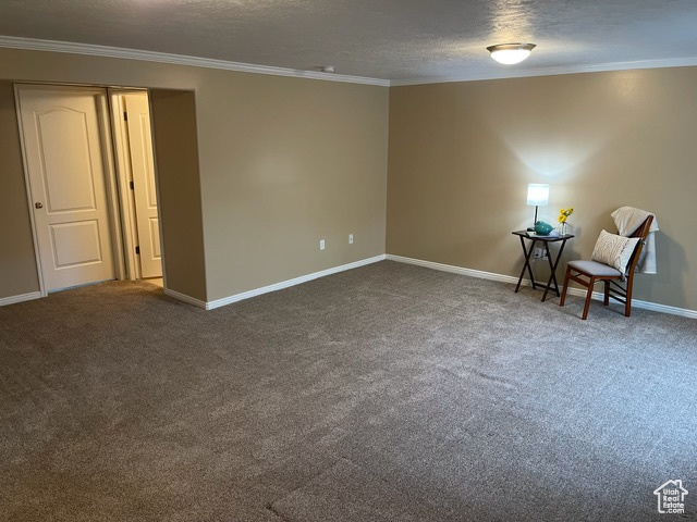 Empty room featuring carpet, ornamental molding, and a textured ceiling